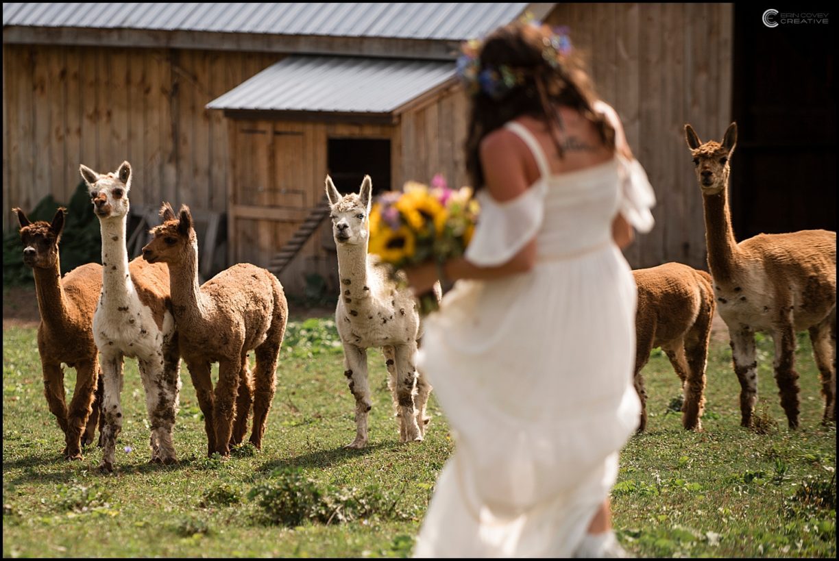 Nicole & David: Better Farm Wedding - Erin Covey Creative Blog